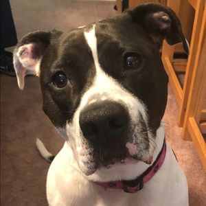 Meet your Posher, Jill